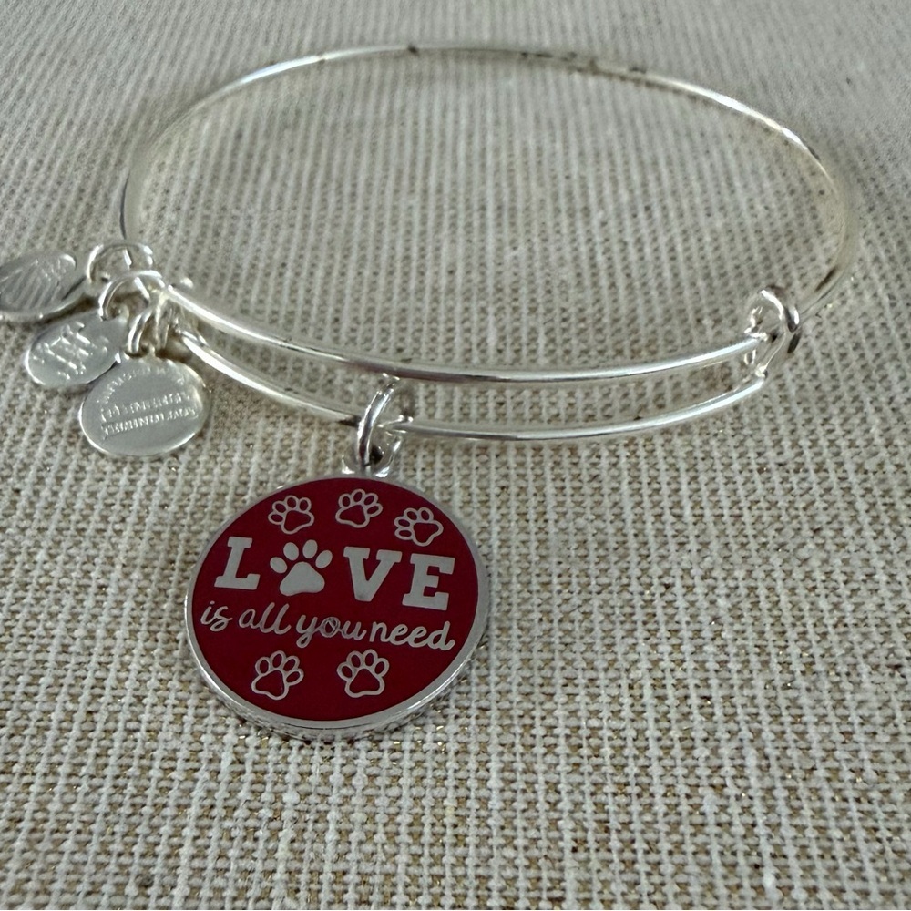 Silver Tone Expandable Bracelet with Red 'LOVE is all you need' Paw Print Charm - Picture 3 of 3